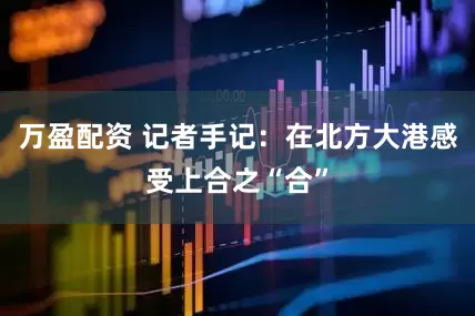 万盈配资 记者手记:在北方大港感受上合之“合”