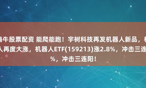 嗨牛股票配资 能爬能跑!宇树科技再发机器人新品,机器人再度大涨,机器人ETF(159213)涨2.8%,冲击三连阳!