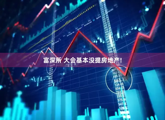 富深所 大会基本没提房地产!